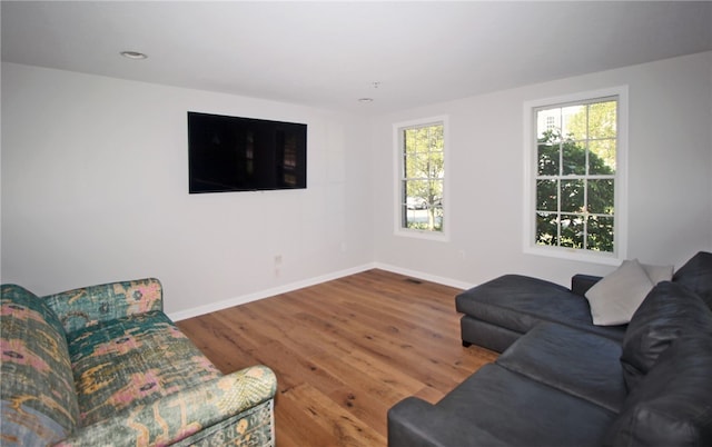 living room featuring hardwood / wood-style floors