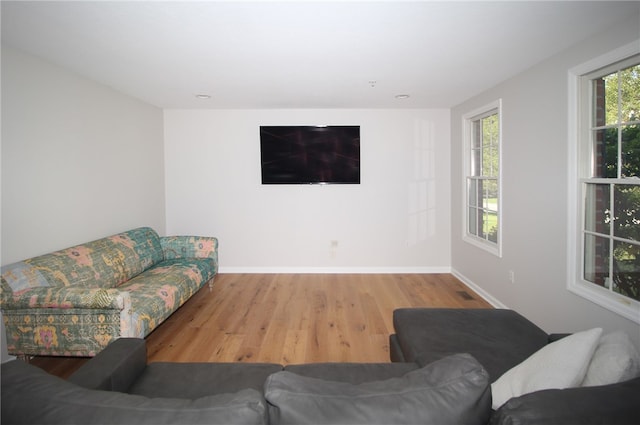 living room featuring hardwood / wood-style floors