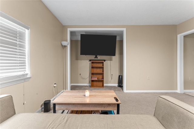 dining area featuring carpet floors