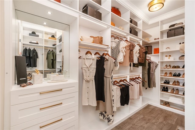 walk in closet with hardwood / wood-style floors