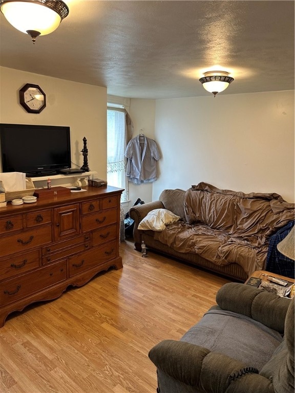 living room featuring light hardwood / wood-style flooring