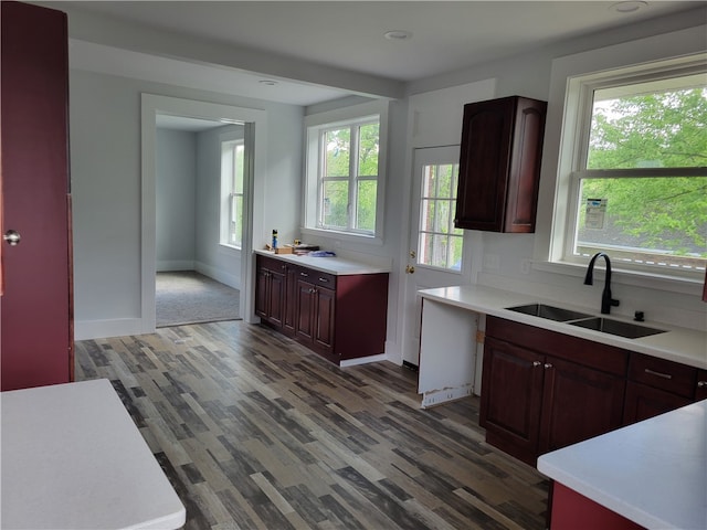 kitchen with dark brown cabinetry, sink, and hardwood / wood-style flooring