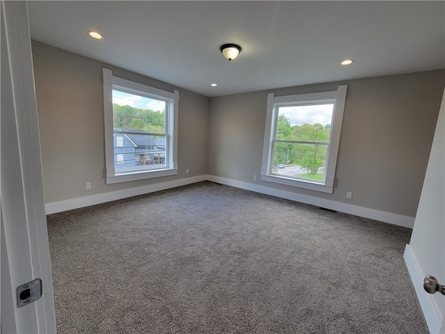 spare room with a wealth of natural light and carpet flooring