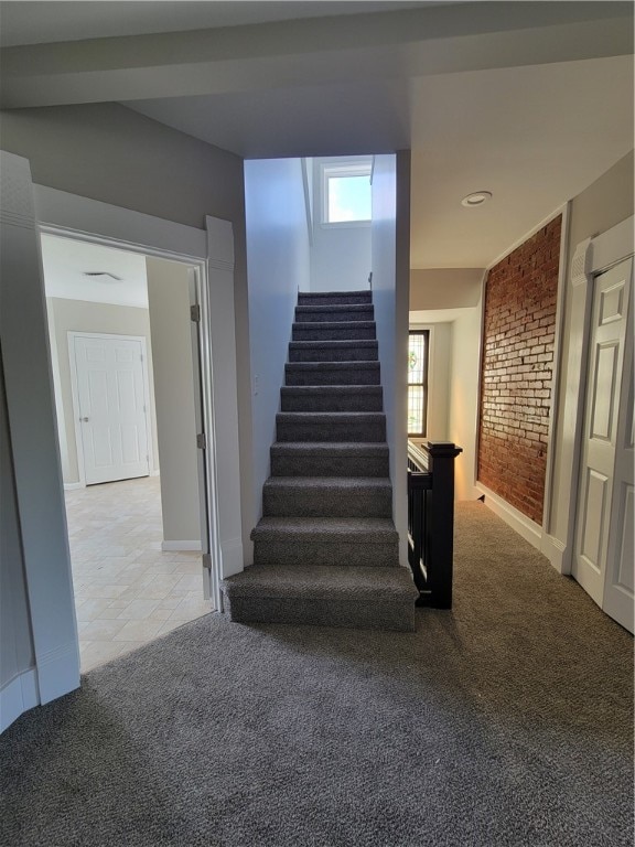 staircase featuring carpet