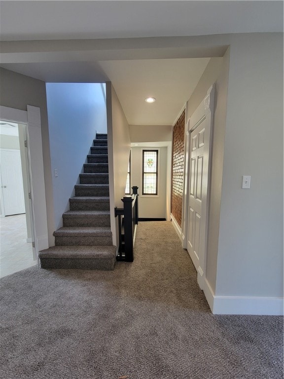 stairway featuring carpet floors