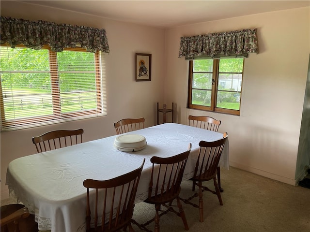 dining room featuring carpet flooring