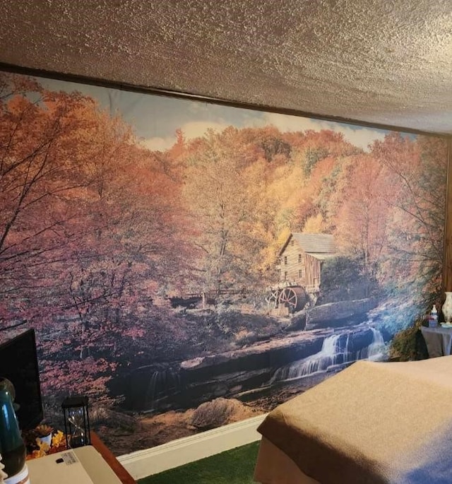 room details featuring a textured ceiling