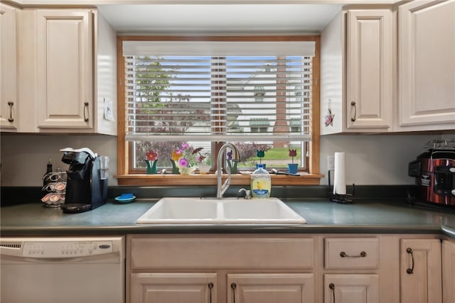 kitchen with sink and white dishwasher