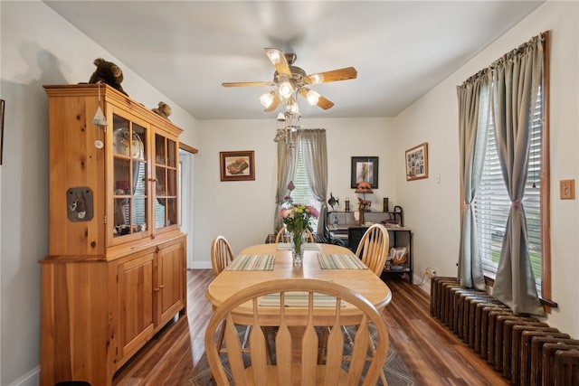 dining area with a healthy amount of sunlight, dark wood-type flooring, ceiling fan, and radiator heating unit