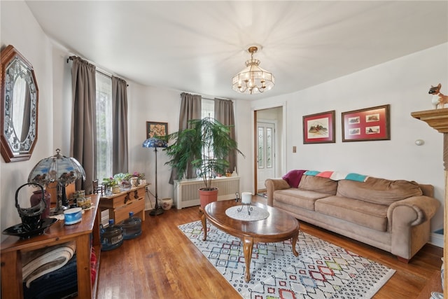 living room featuring a notable chandelier, hardwood / wood-style flooring, and radiator heating unit