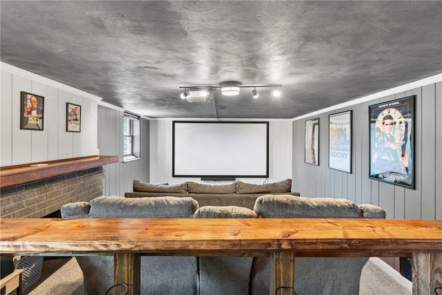 carpeted cinema room featuring ornamental molding and track lighting