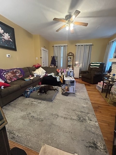 living room featuring ceiling fan and hardwood / wood-style floors