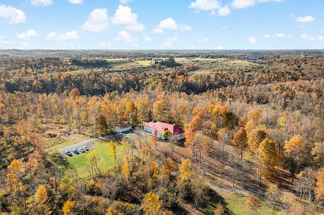 view of drone / aerial view