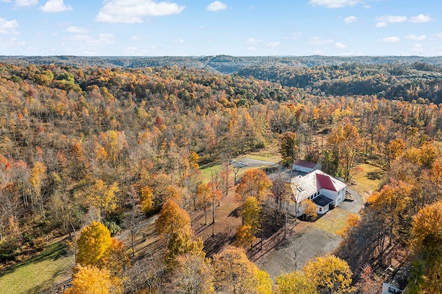 view of birds eye view of property