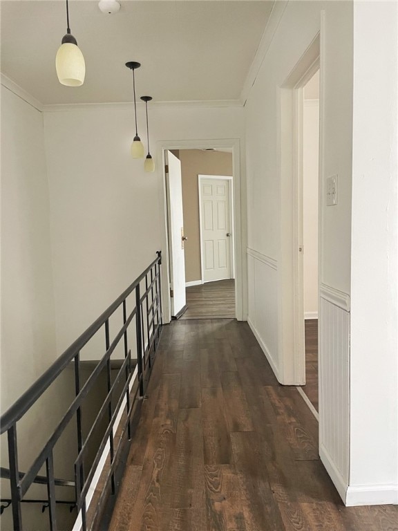 hallway featuring dark wood-type flooring and ornamental molding