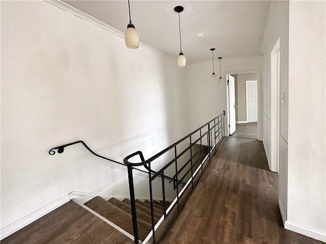 stairs with dark hardwood / wood-style floors and crown molding