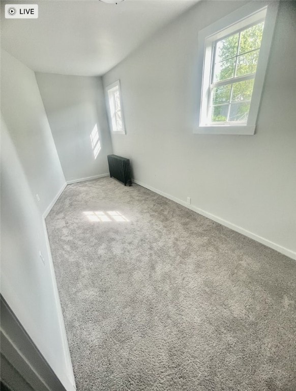 additional living space with carpet floors