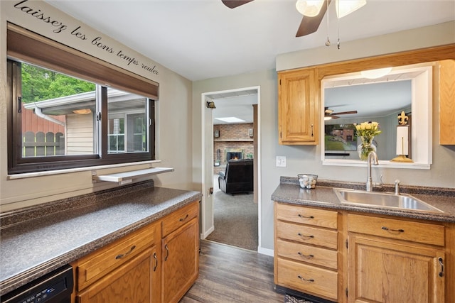 kitchen with dark hardwood / wood-style floors, ceiling fan, a fireplace, and sink