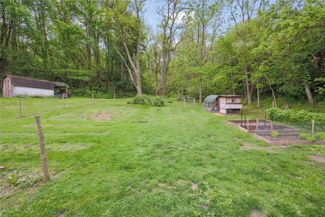 view of yard with a storage shed