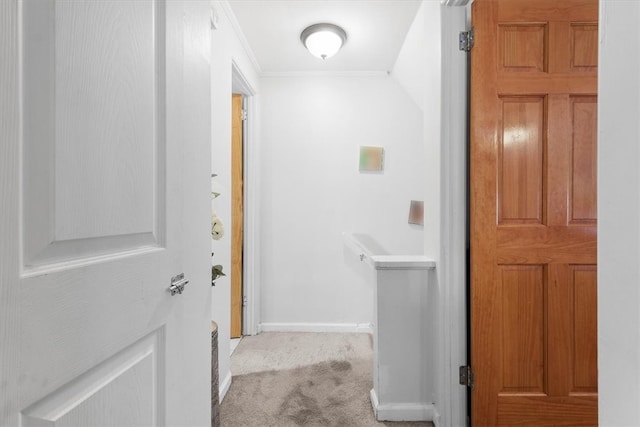 hall with crown molding and carpet floors