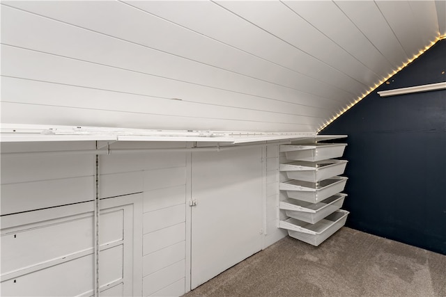 spacious closet featuring carpet floors