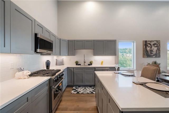 kitchen with sink, gray cabinets, wood-type flooring, and appliances with stainless steel finishes