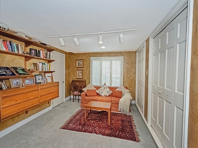 living area featuring track lighting and carpet