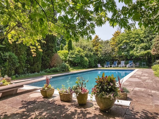 view of swimming pool featuring a patio area