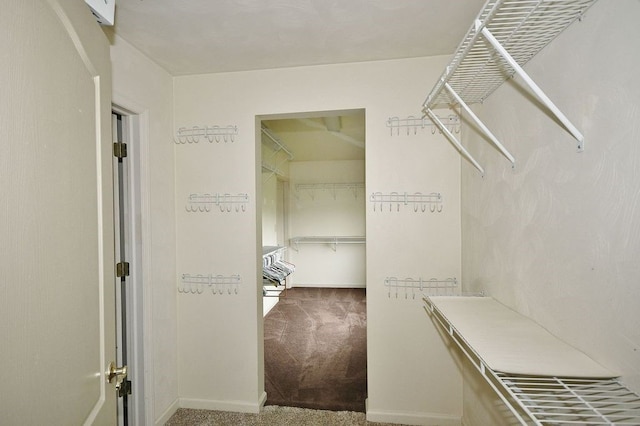 spacious closet featuring carpet