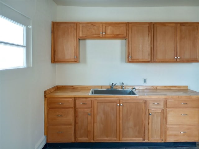 kitchen with sink