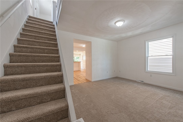 staircase with carpet floors