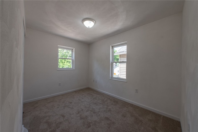 empty room featuring carpet