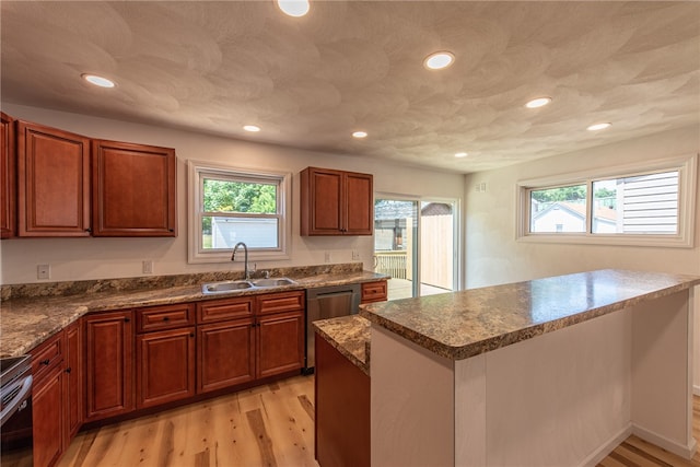 kitchen with light wood-type flooring, a healthy amount of sunlight, dishwasher, and sink