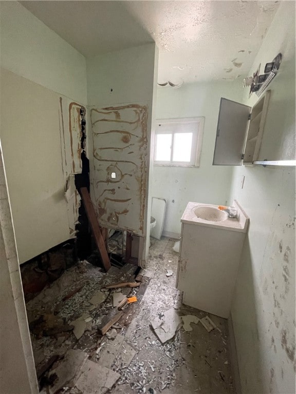 bathroom with toilet and vanity