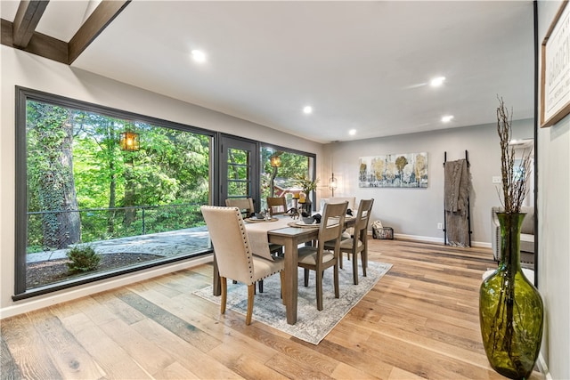 dining room with light hardwood / wood-style floors