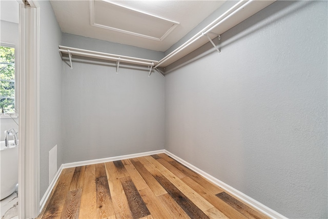 walk in closet featuring hardwood / wood-style floors