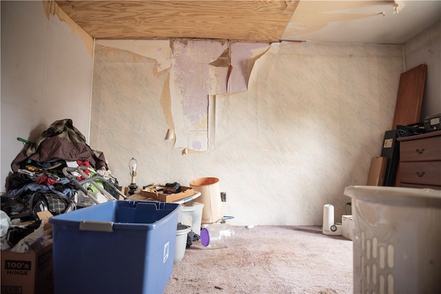 miscellaneous room featuring carpet flooring