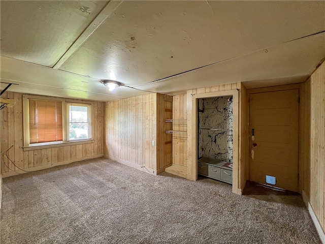 basement with wood walls and carpet