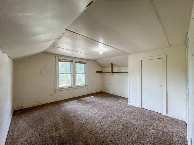 additional living space featuring carpet and vaulted ceiling