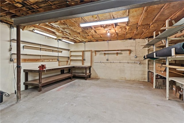 basement with a workshop area