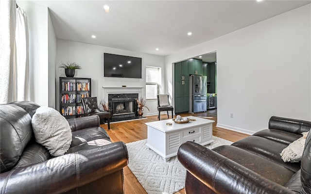 living room featuring light hardwood / wood-style floors