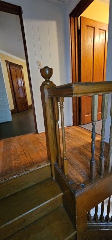 staircase featuring dark hardwood / wood-style flooring