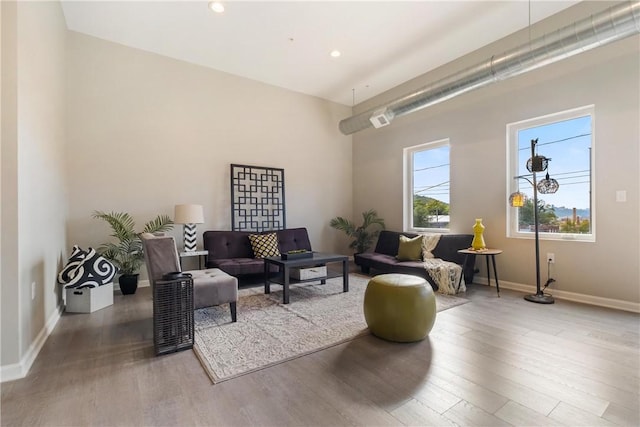 living room with wood-type flooring