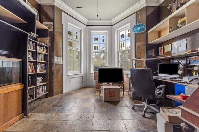 office featuring plenty of natural light and ornamental molding