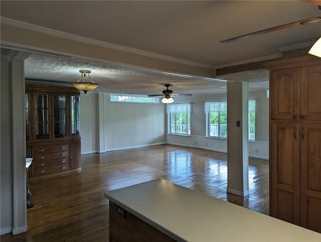 kitchen with dark hardwood / wood-style floors, ceiling fan, a textured ceiling, and crown molding