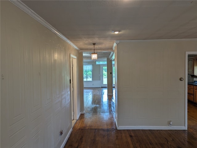 corridor with dark hardwood / wood-style flooring and ornamental molding