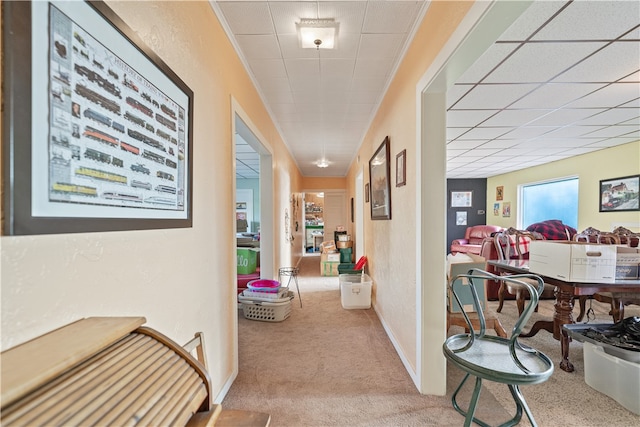 hallway featuring carpet