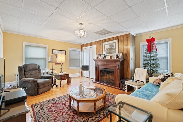 living room featuring crown molding, a drop ceiling, hardwood / wood-style floors, and plenty of natural light