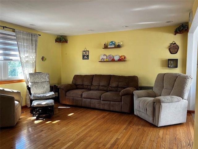 living room with hardwood / wood-style flooring