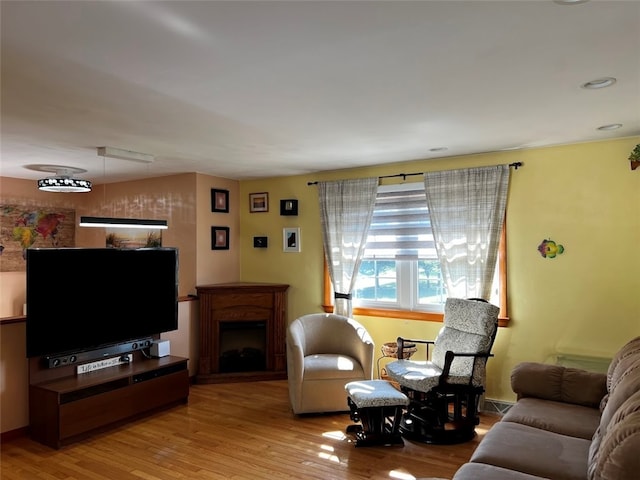 living room featuring hardwood / wood-style flooring